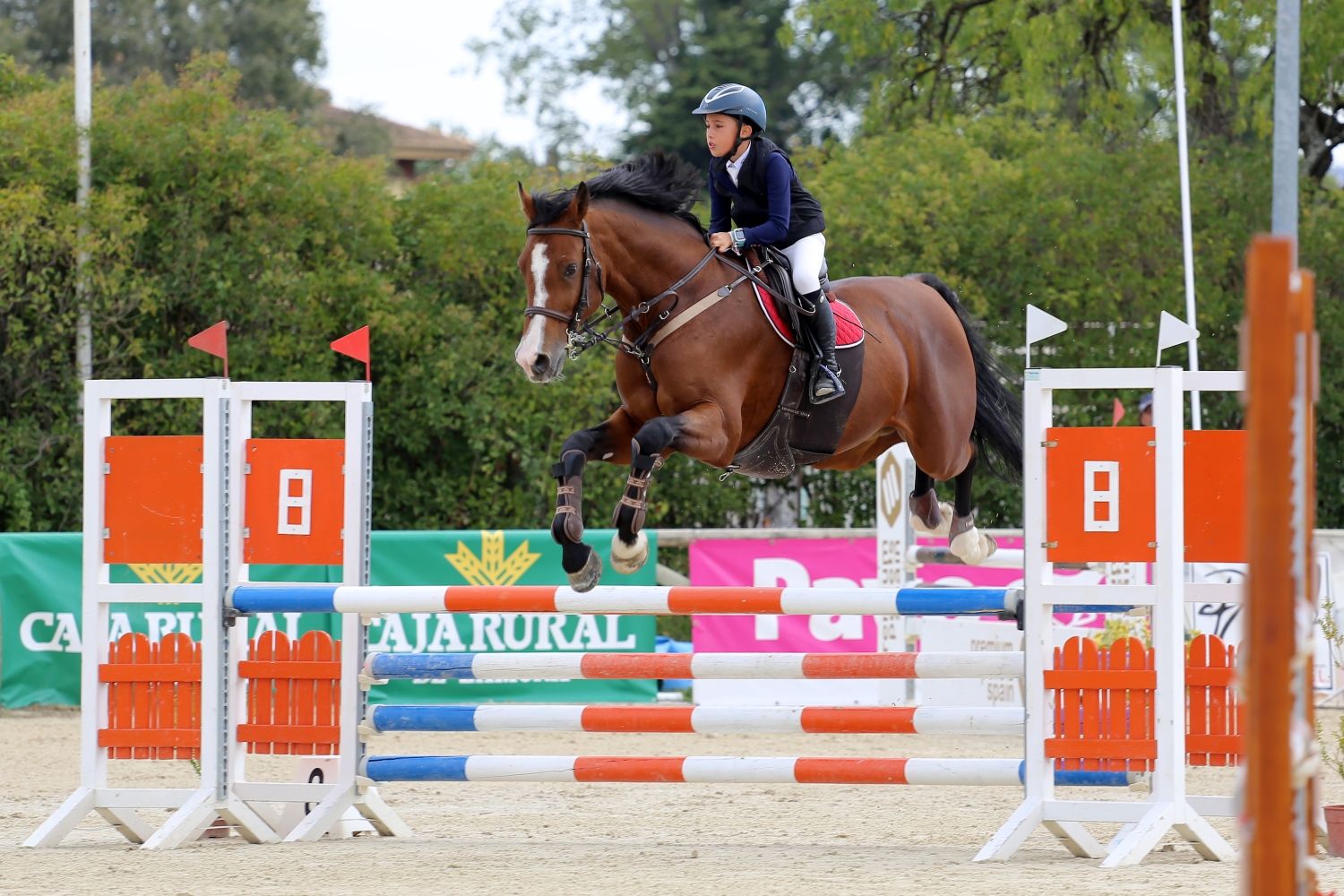 Campeonato de Castilla y León y la Copa Federación Hípica de Castilla y León 