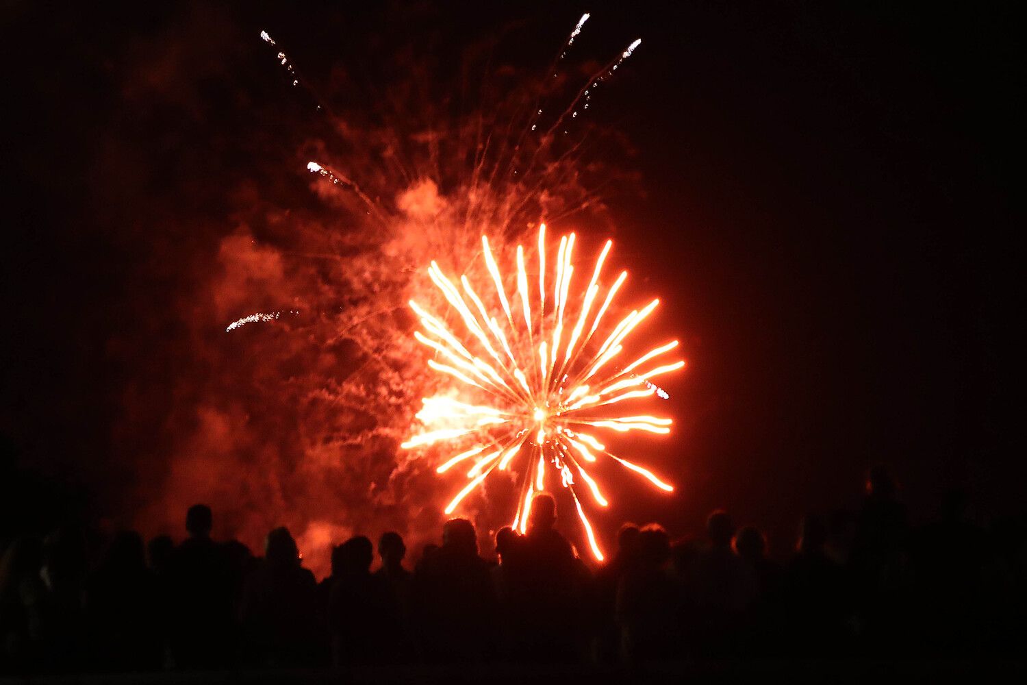 Fuegos artificiales en la Noche de San Juan | Peio García / ICAL