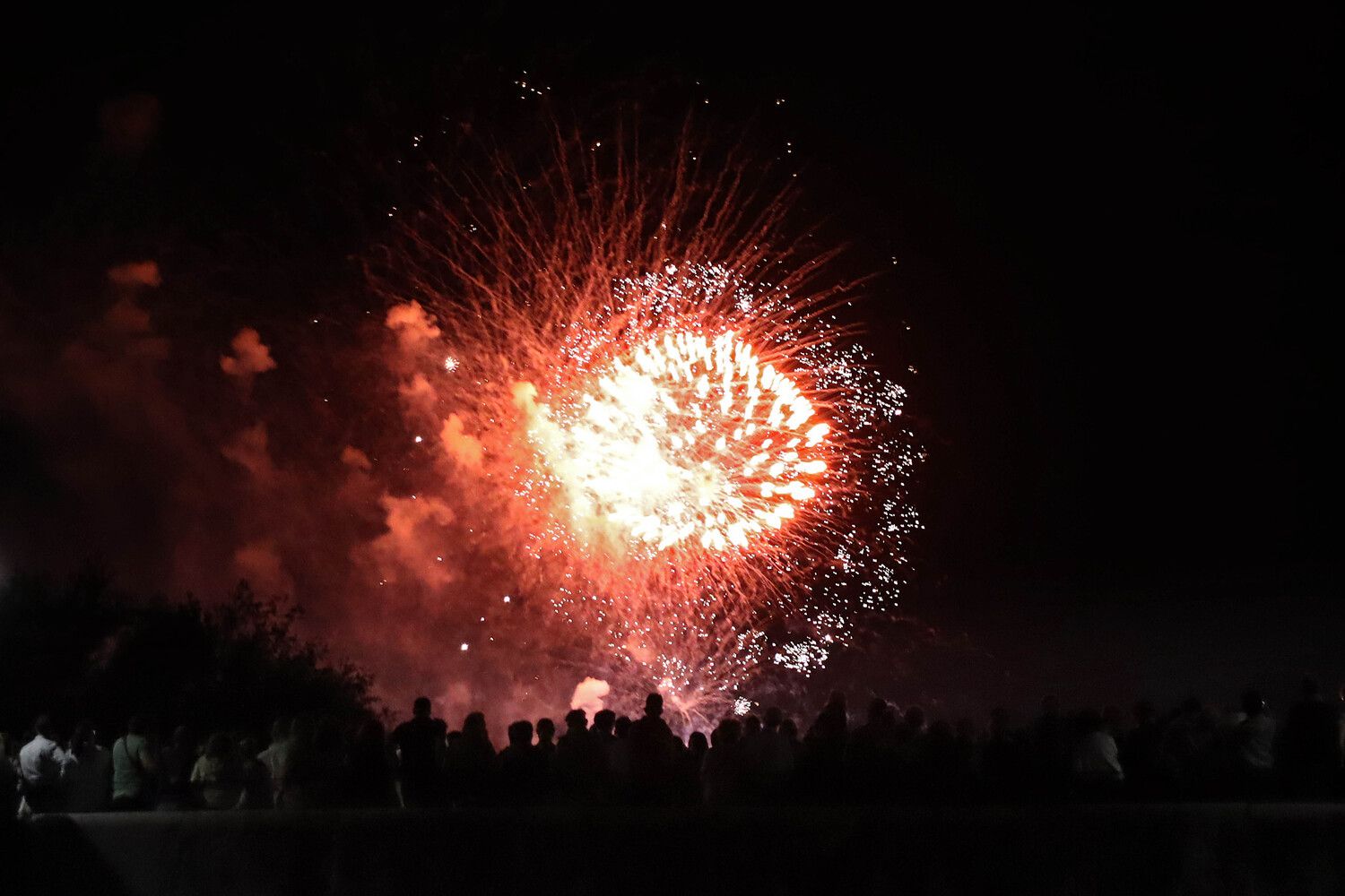  Fuegos artificiales en la Noche de San Juan | Peio García / ICAL