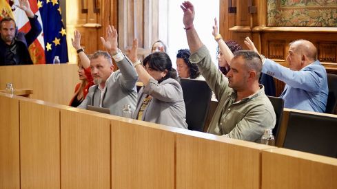 Celebración del pleno Diputación de León Autonomía Leonesa18