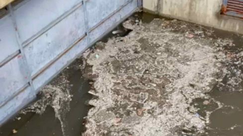 Estragos de la tormenta en León