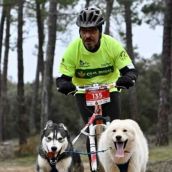 mushing (4) mushing (4)