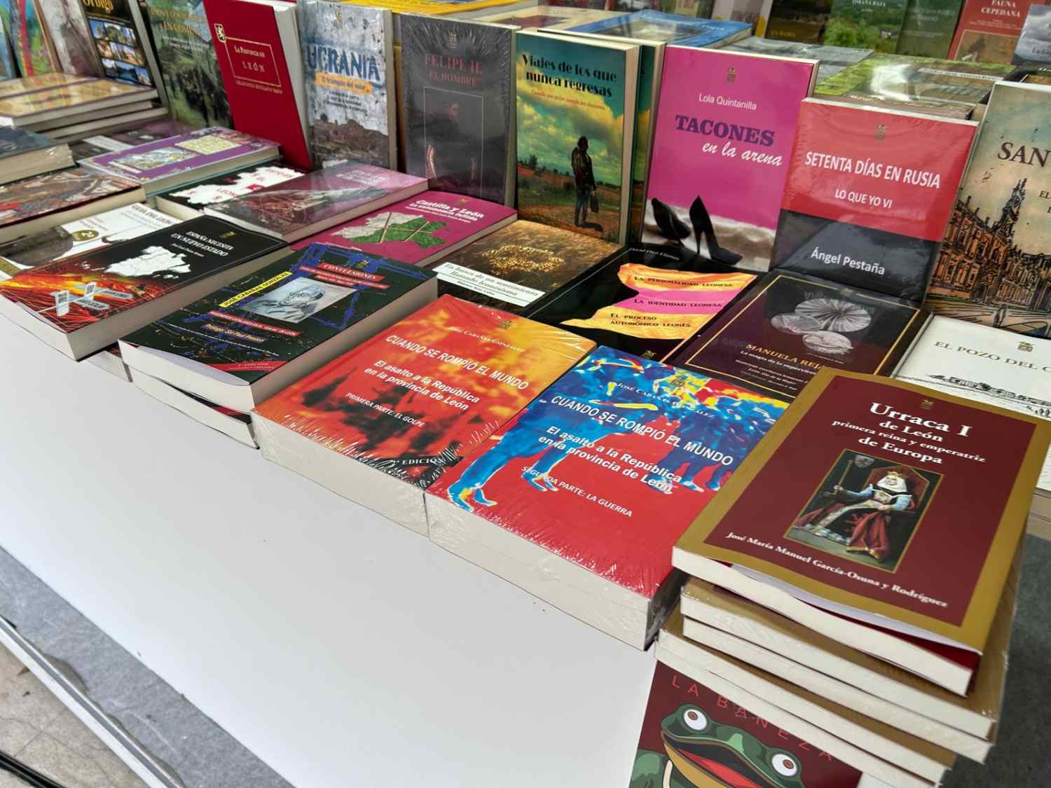 feria del libro la bañeza (10)