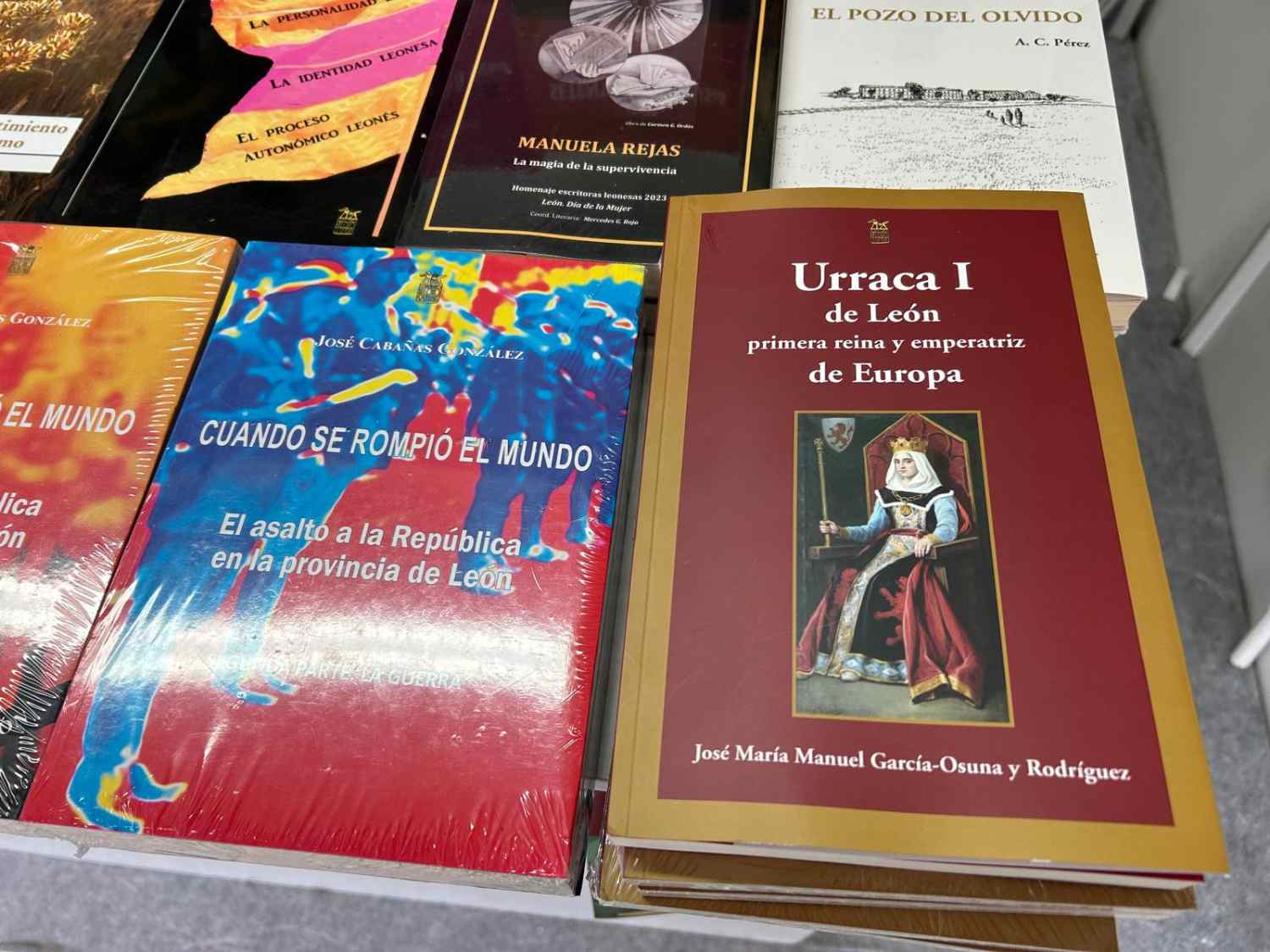 feria del libro la bañeza (11)