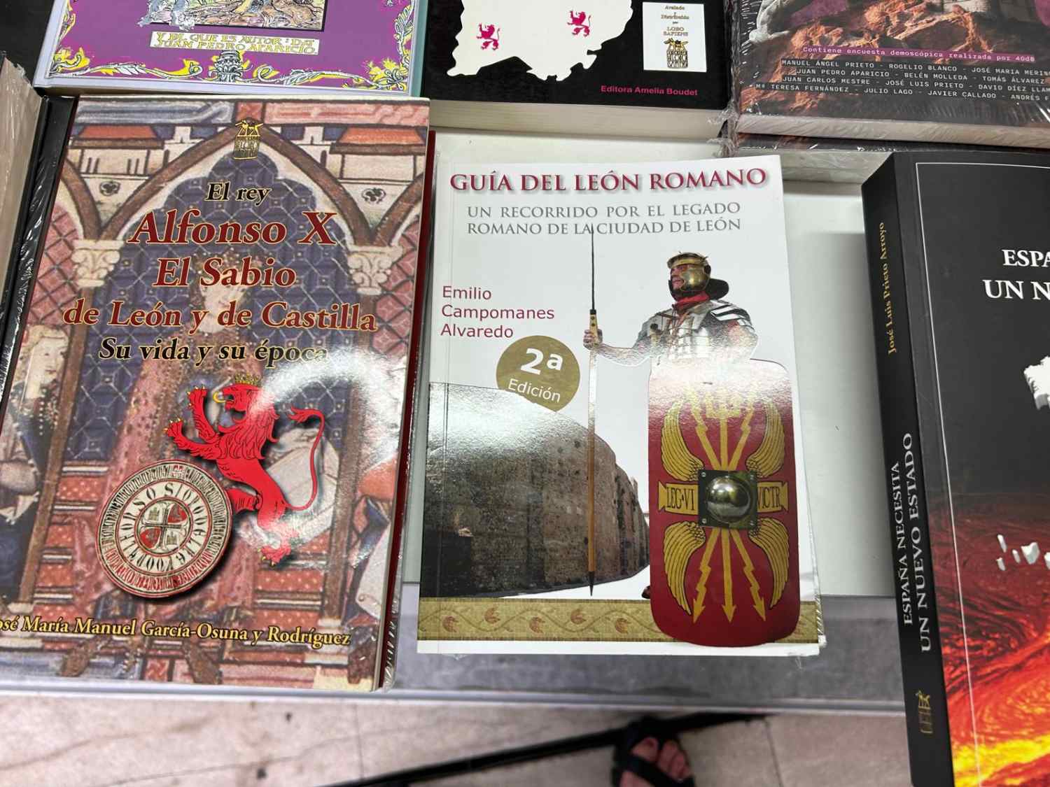 feria del libro la bañeza (12)