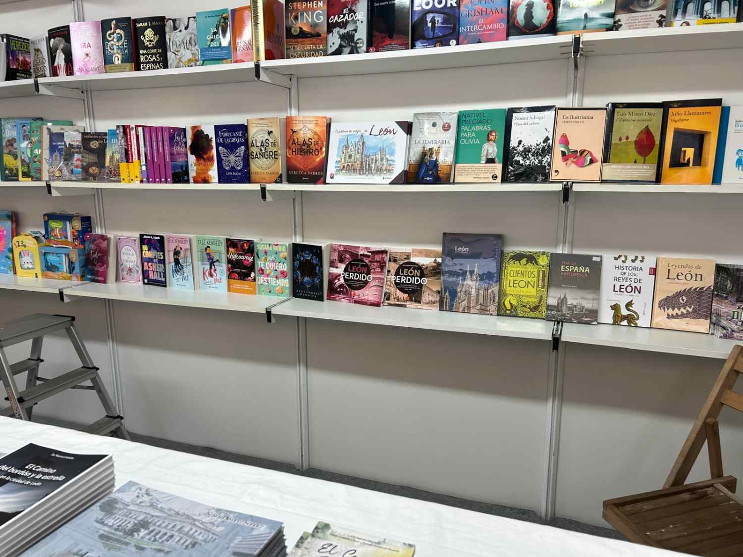 feria del libro la bañeza (13)