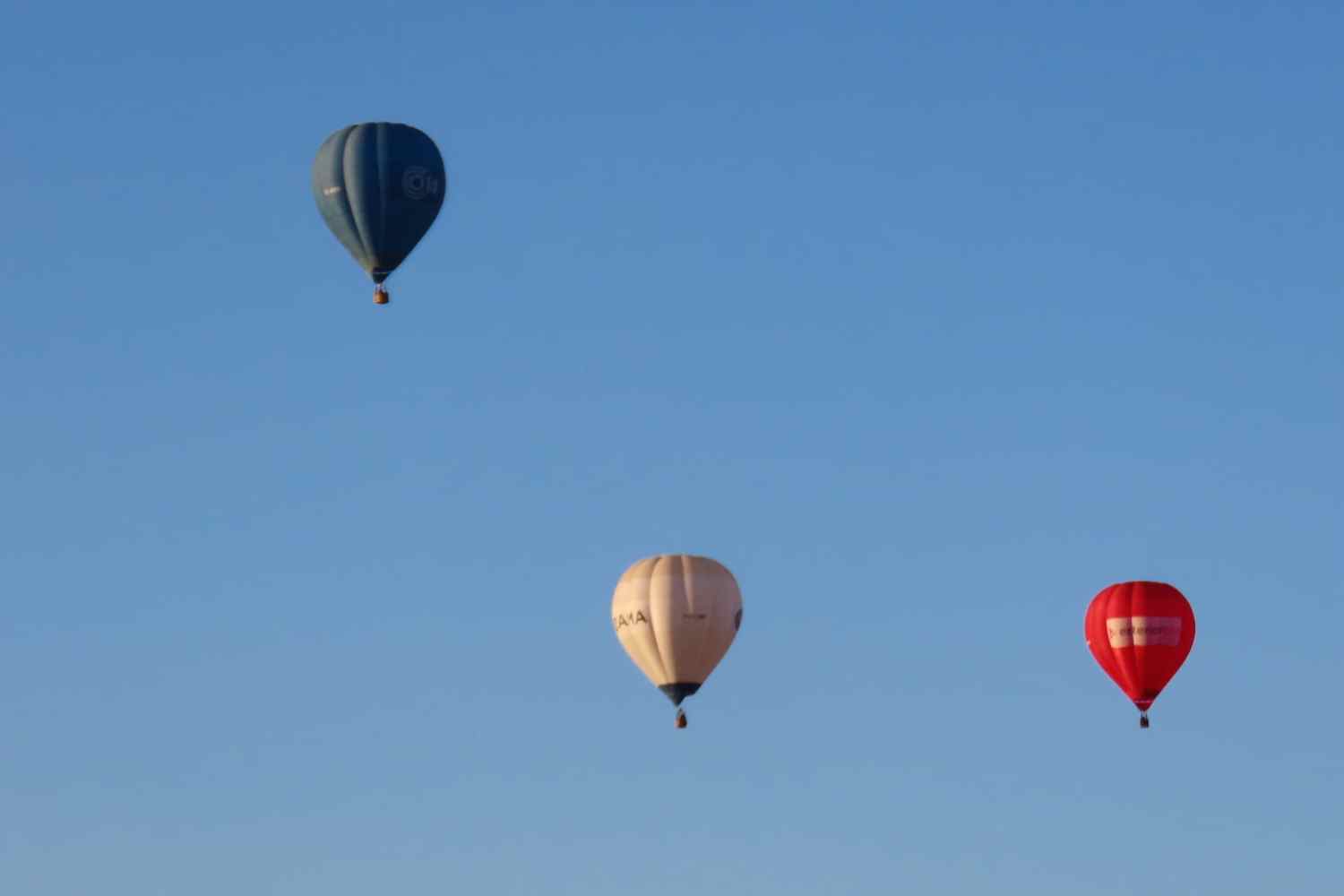 globos leon (1) globos leon (1)