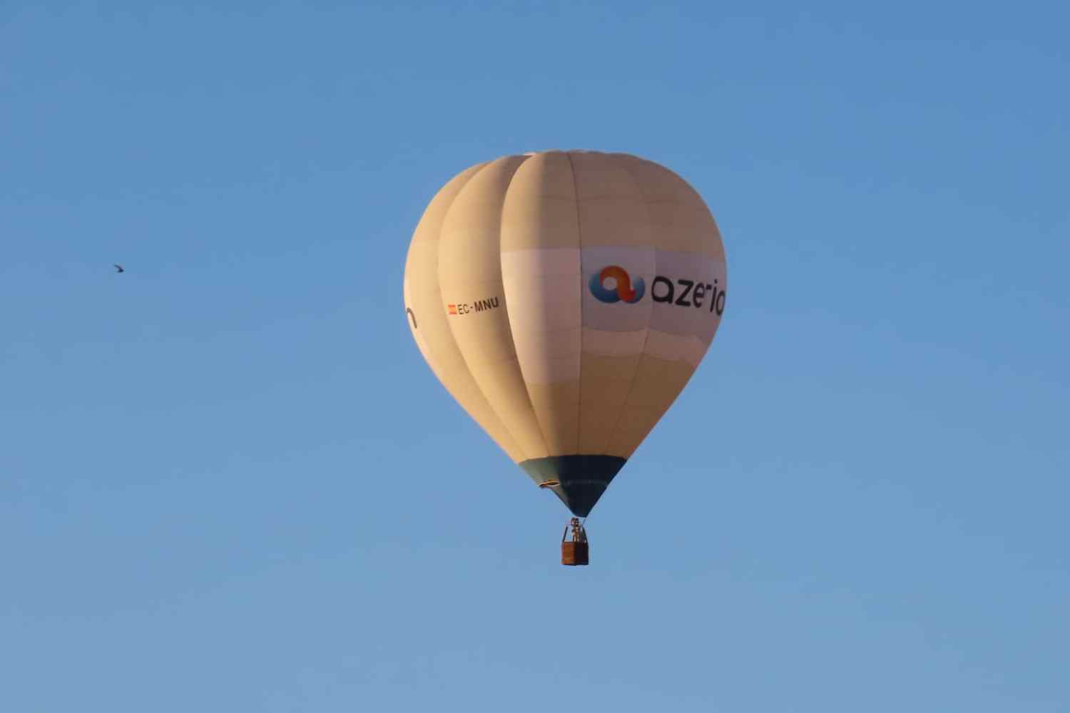 globos leon (2) globos leon (2)