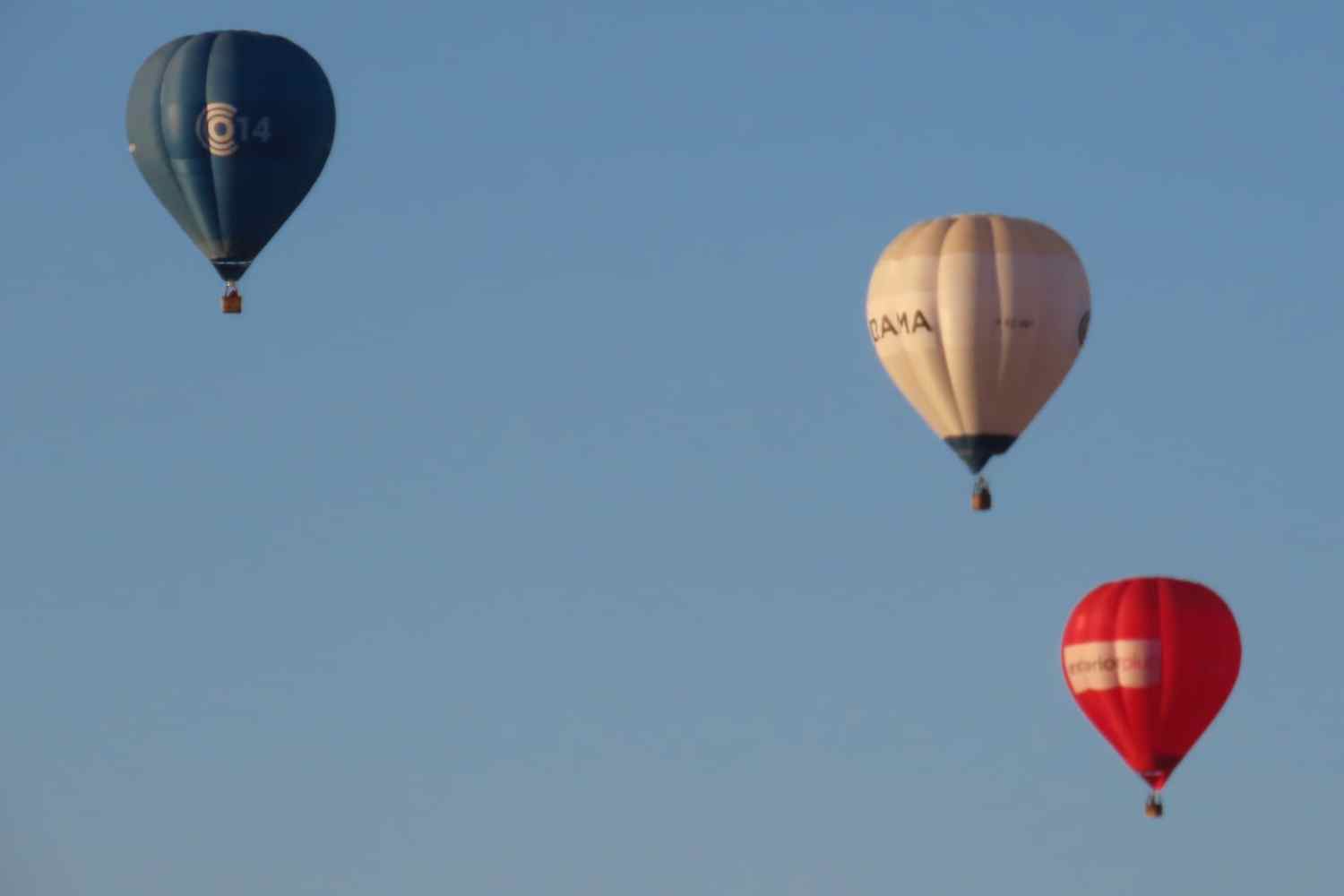 globos leon (3) globos leon (3)