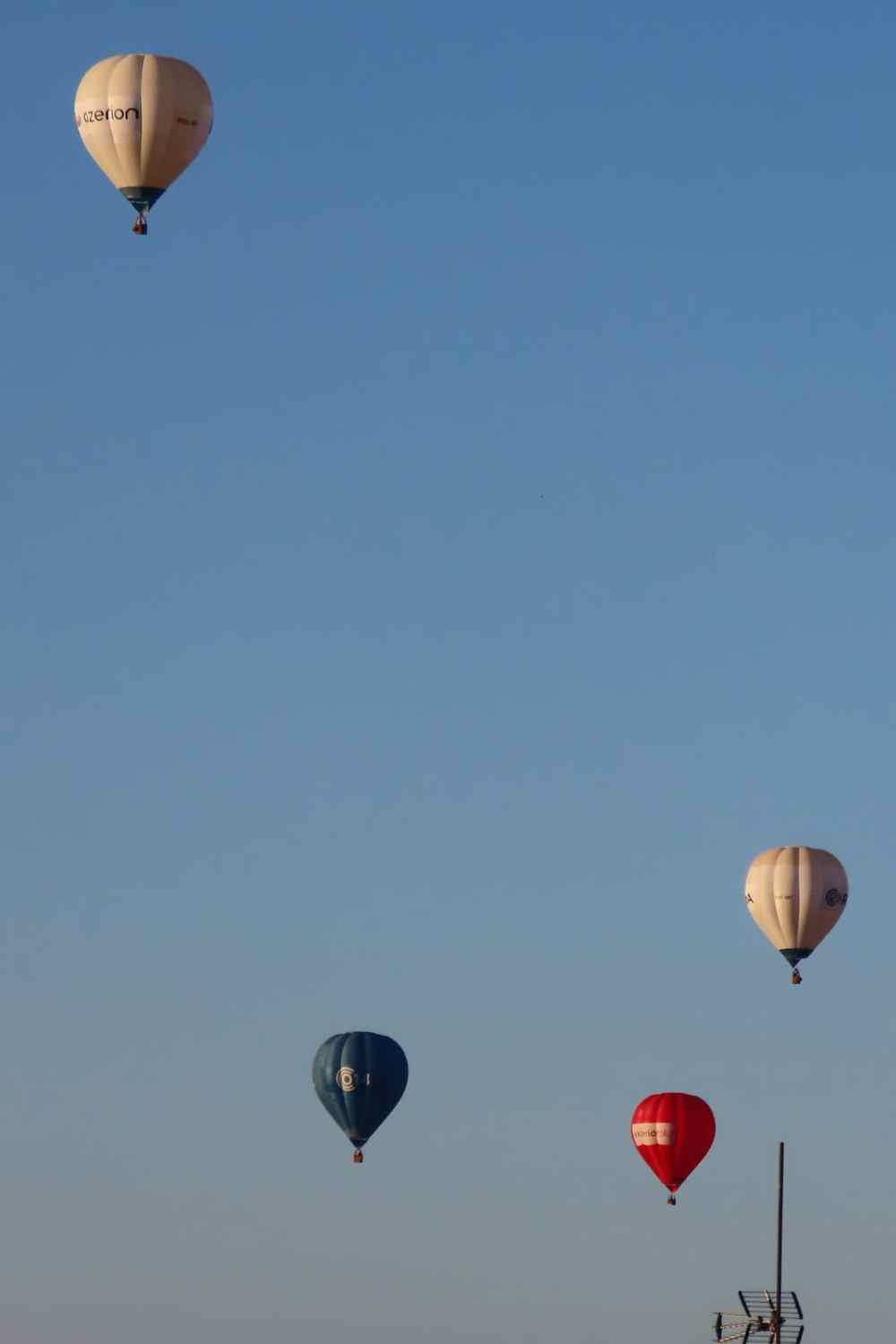 globos leon (5) globos leon (5)