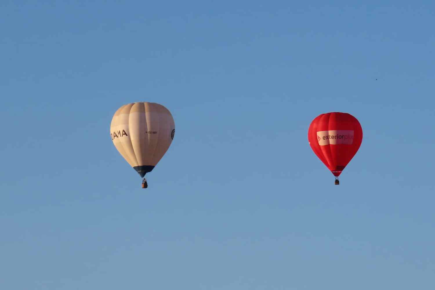 globos leon (7) globos leon (7)