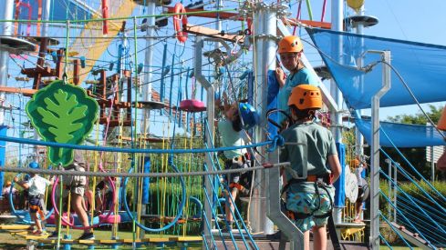 Mr Shark Aventura Park Mr Shark Aventura Park