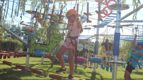 Mr Shark Aventura Park Mr Shark Aventura Park