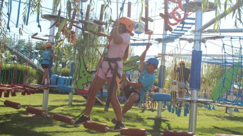 Mr Shark Aventura Park Mr Shark Aventura Park