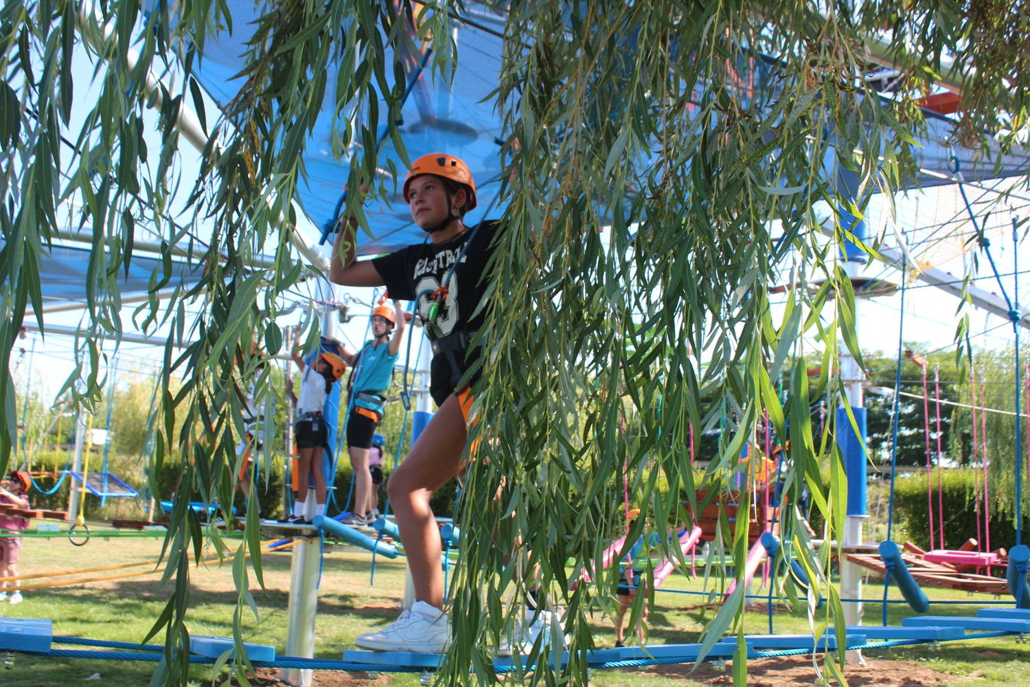 Mr Shark Aventura Park