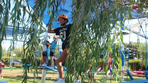 Mr Shark Aventura Park Mr Shark Aventura Park