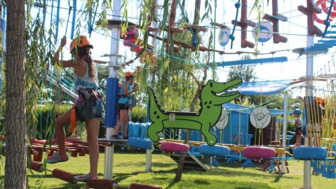 Mr Shark Aventura Park Mr Shark Aventura Park