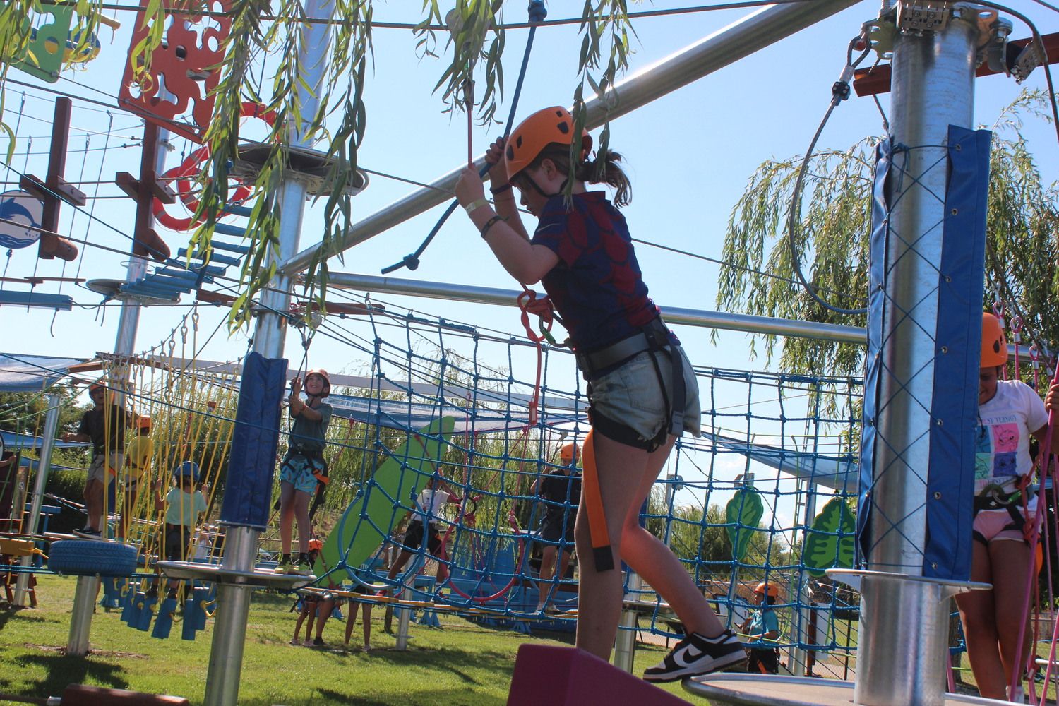 Mr Shark Aventura Park