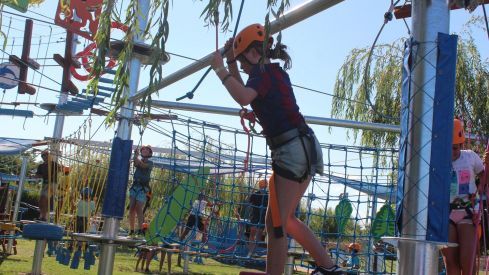 Mr Shark Aventura Park Mr Shark Aventura Park