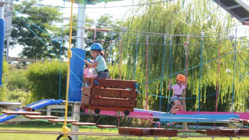 Mr Shark Aventura Park Mr Shark Aventura Park