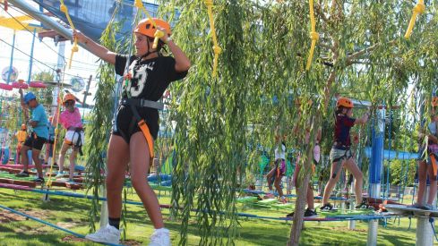 Mr Shark Aventura Park Mr Shark Aventura Park