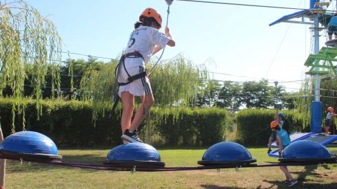 Mr Shark Aventura Park Mr Shark Aventura Park