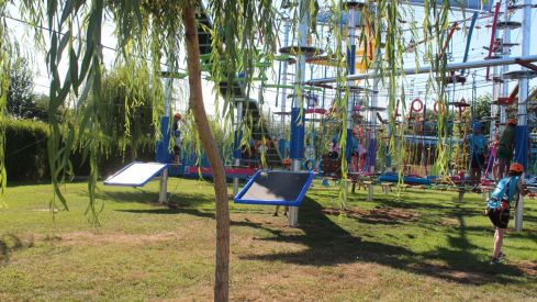 Mr Shark Aventura Park Mr Shark Aventura Park