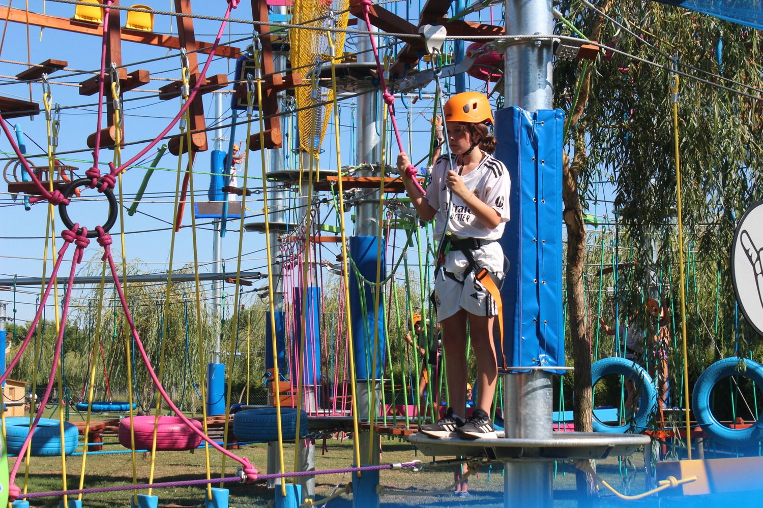 Mr Shark Aventura Park