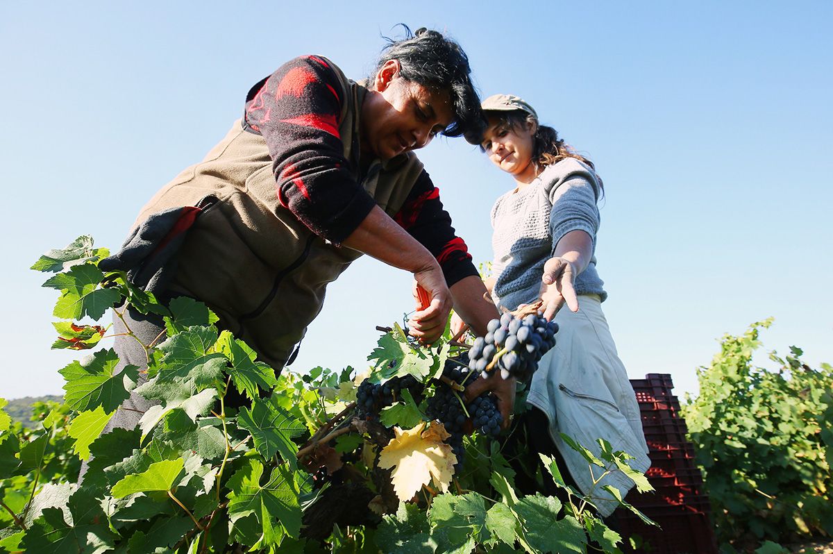 ‘Mujeres que transforman el territorio’: Tres días de actividades por el Día de las Mujeres Rurales en el Alto Bernesga ‘Mujeres que transforman el territorio’: Tres días de actividades por el Día de las Mujeres Rurales en el Alto Bernesga