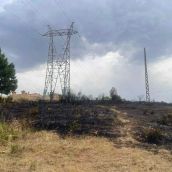 Sofocan en minutos un incendio periurbano en Trobajo del Camino (León) | Nole Quiñones
