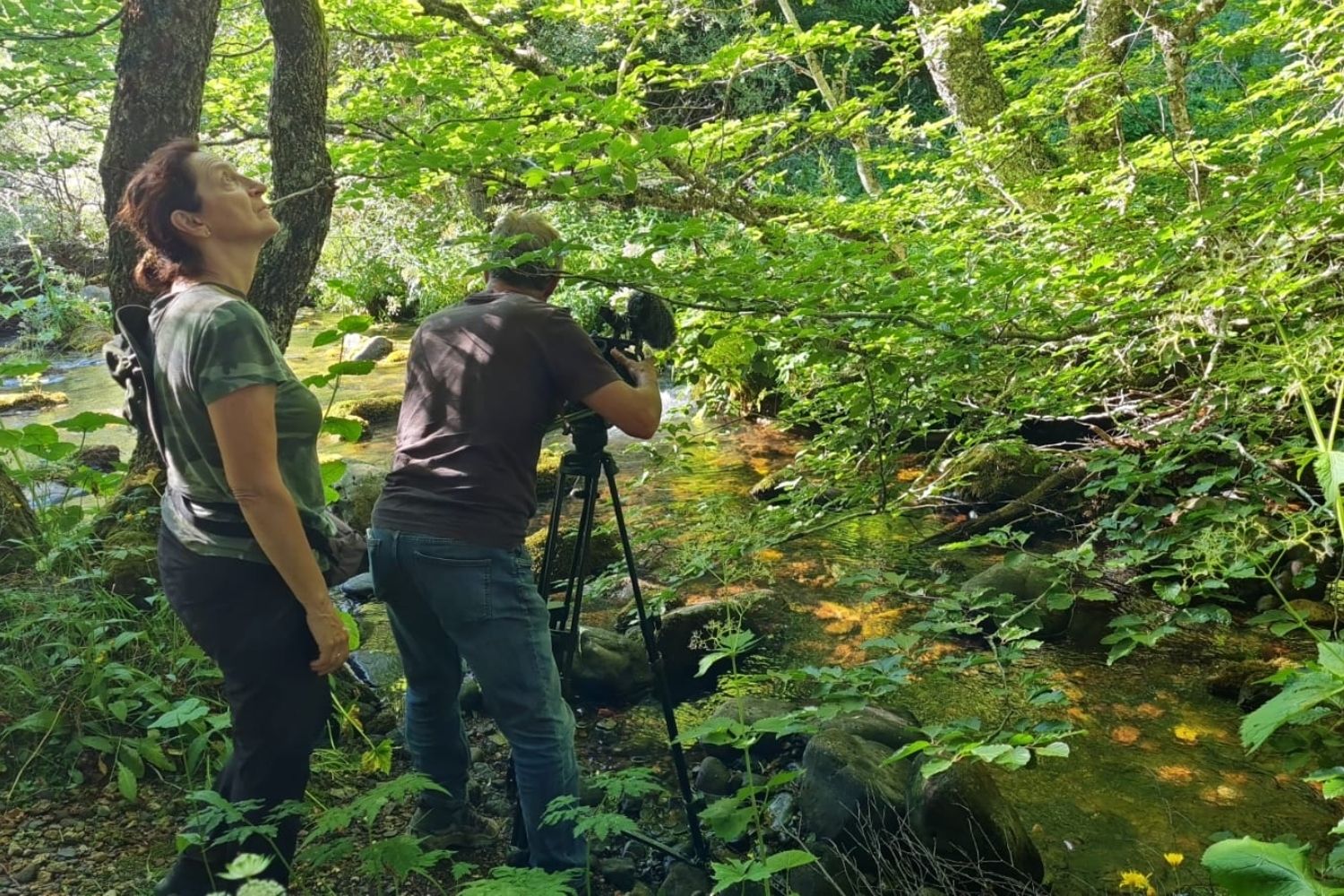 La Montaña de Riaño (León), protagonista del documental internacional ‘Voices from the Woods’