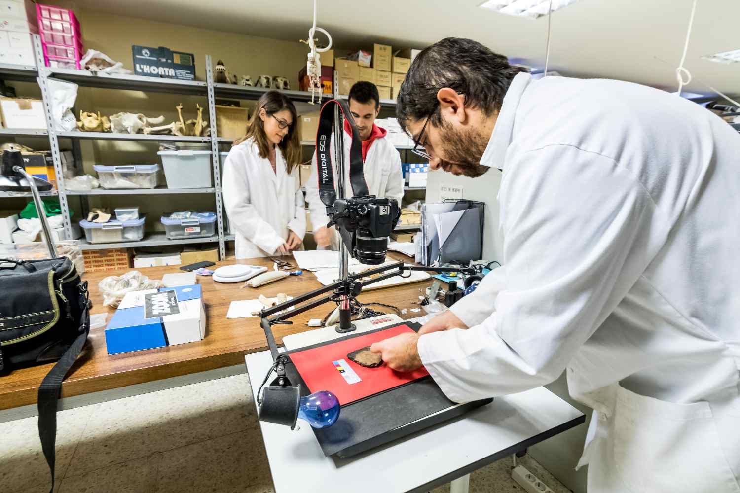 Convocados los XXIX Premios Mariano Rodríguez para jóvenes investigadores de León