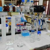 La Universidad de León capta más de 2,6 millones para el desarrollo de 14 proyectos de investigación