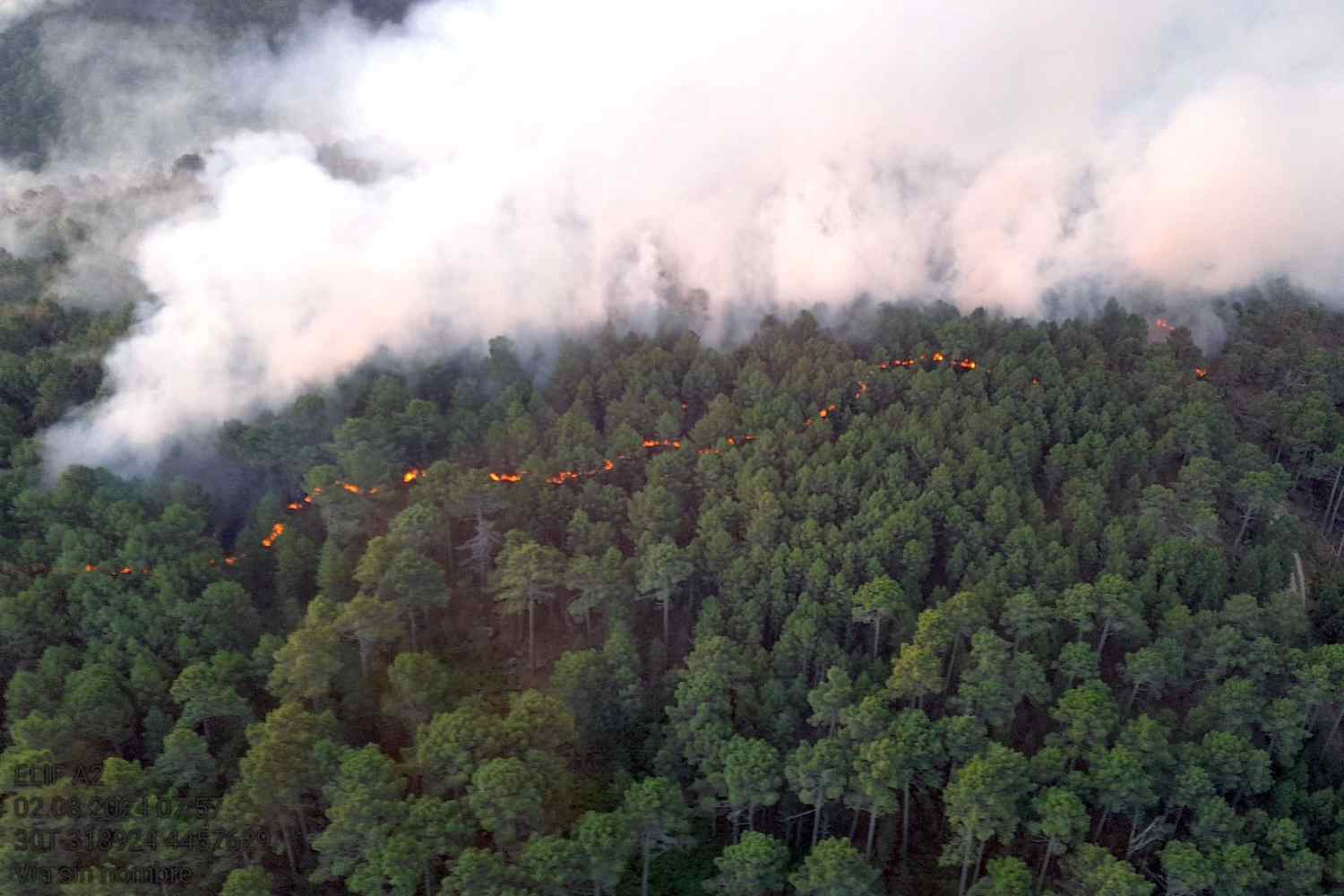 La BRIF de Tabuyo (León) se incorpora al trabajo en el incendio de nivel 1 en El Hornillo (Ávila)