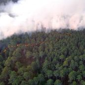 La BRIF de Tabuyo (León) se incorpora al trabajo en el incendio de nivel 1 en El Hornillo (Ávila)