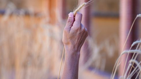 Museo de la Industria Harinera de Castilla y León | Campillo / ICAL