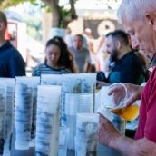 Castilla y León aprueba medidas para impulsar el lúpulo leonés con más ayudas y certificación oficial 