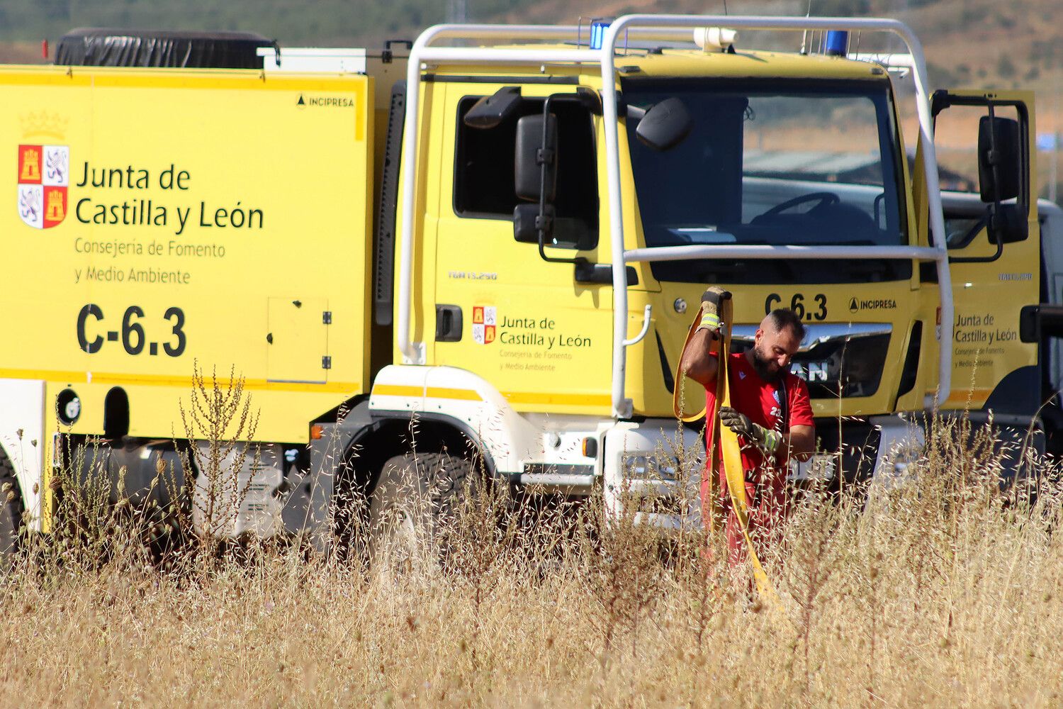 Medios terrestres y aéreos luchan contra un incendio forestal en San Cibrián (León)