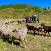 Aventura Trashumante |ICAL