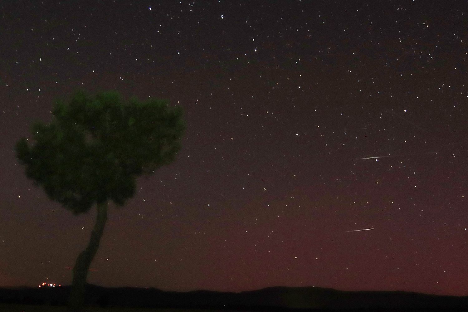 Perseidas en La Cepeda (5)