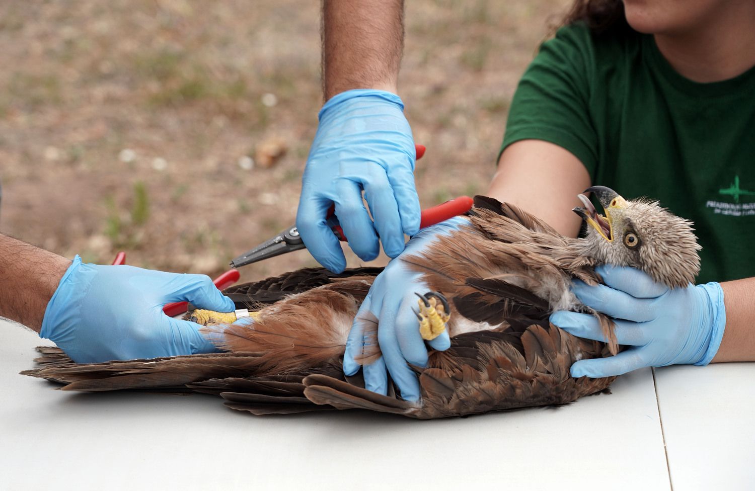 El consejero de Medio Ambiente, Vivienda y Ordenación del Territorio visita las instalaciones del CRAS de Valladolid