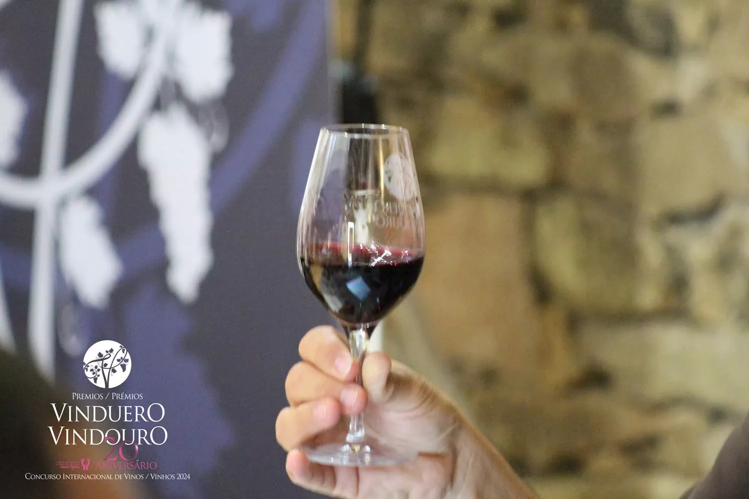 Diez vinos del Bierzo galardonados en los Premios VinDuero-VinDouro 2024