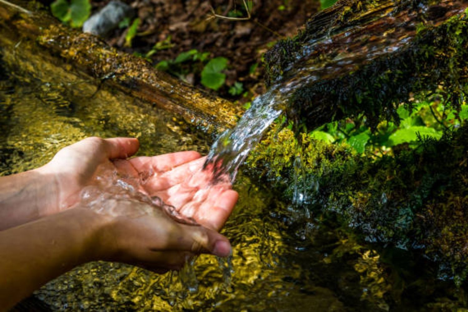 La provincia de León tiene abierto un expediente sobre la contaminación y calidad del agua / Agua | iStock 