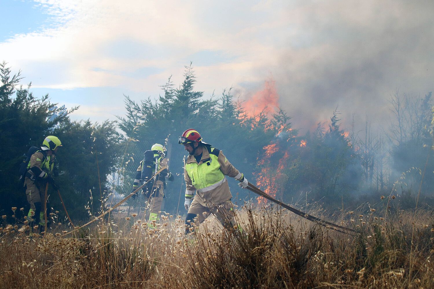  Incendio forestal de Aldea de la Valdoncina (León) | Peio García / ICAL.