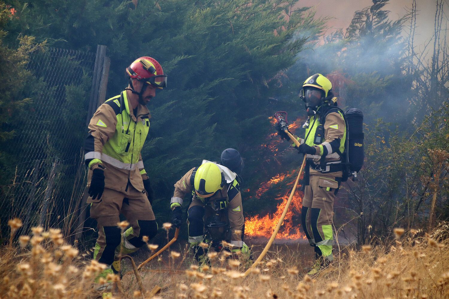  Incendio forestal de Aldea de la Valdoncina (León) | Peio García / ICAL.