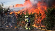  Incendio forestal de Aldea de la Valdoncina (León) | Peio García / ICAL.