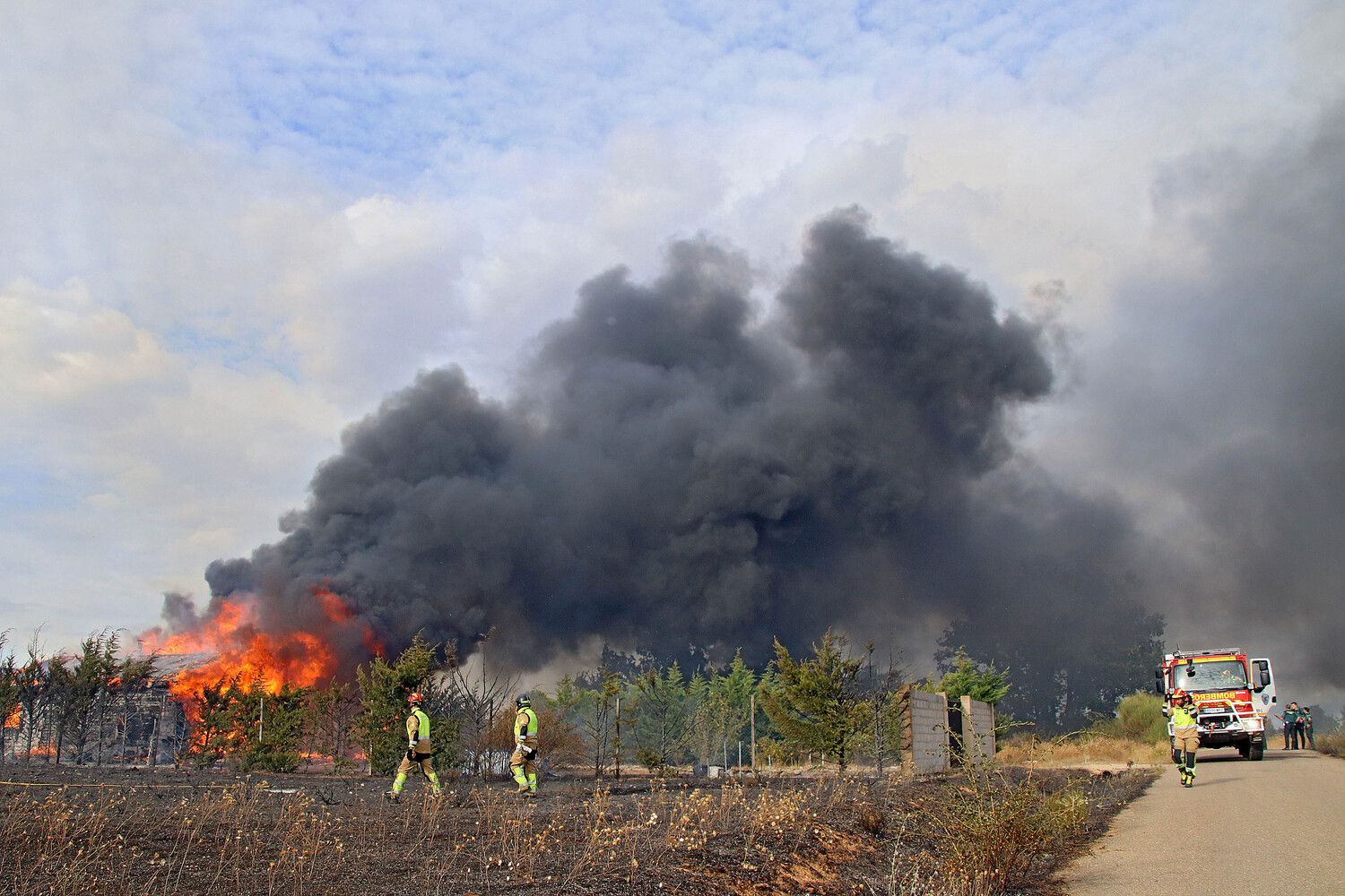  Incendio forestal de Aldea de la Valdoncina (León) | Peio García / ICAL.