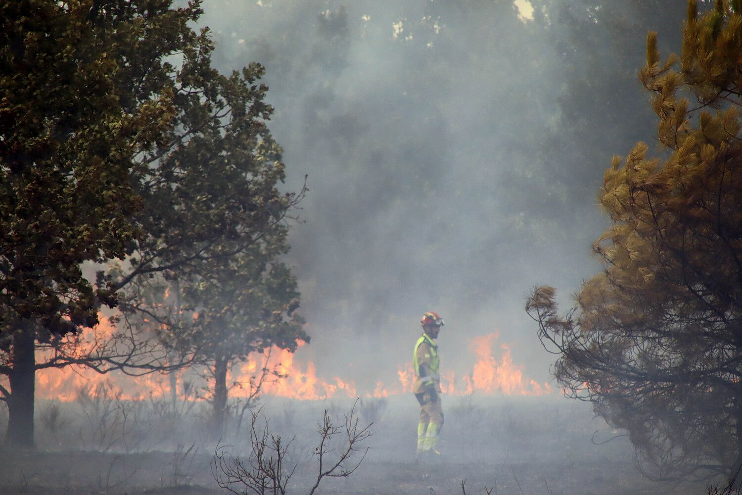  Incendio forestal de Aldea de la Valdoncina (León) | Peio García / ICAL.