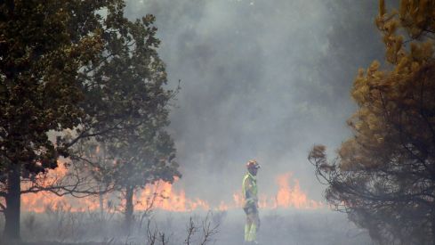  Incendio forestal de Aldea de la Valdoncina (León) | Peio García / ICAL.