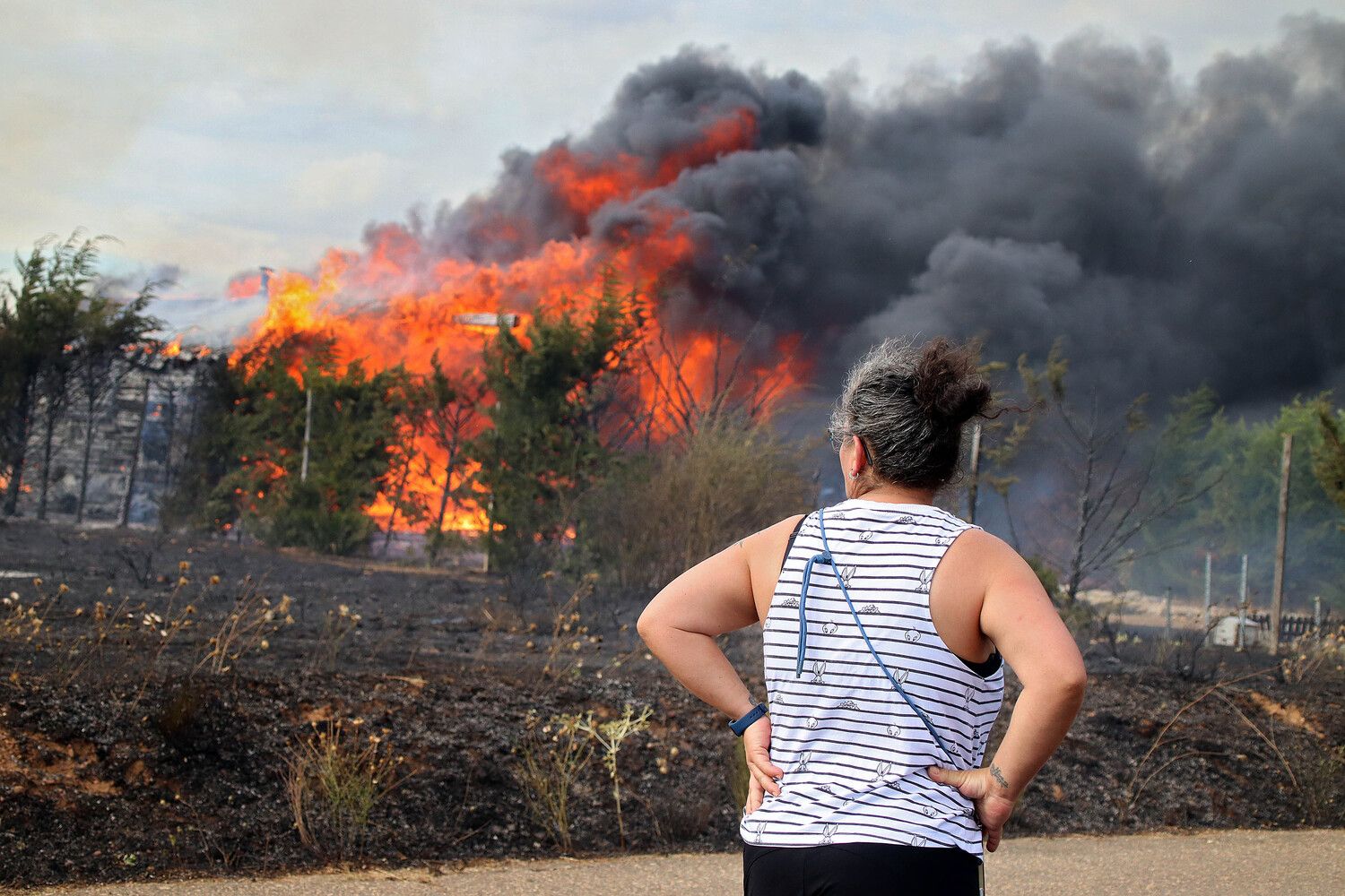  Incendio forestal de Aldea de la Valdoncina (León) | Peio García / ICAL.